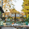 Rosé Back Bar - Image 2